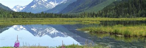 The 10 best hotels & places to stay in Soldotna, United States .
